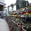 Hotel Sikkim Tourist Centre