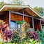 Heliconias Lodge And Rainforest