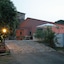 Galea