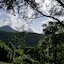 A View Of Mt Warning B&B