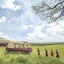Mara Engai Wilderness Lodge