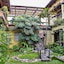 Las Camelias Inn