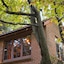 Crafers Cottages