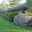 Ethel S Cottage