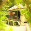 Table Rock Jungle Lodge