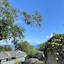 Anse Soleil Beachcomber Hotel