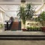 Maple Leaf Hotel & Apartment