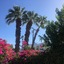 Inn At Palm Springs