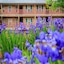 Holiday Inn Club Vacations Oak N’ Spruce Resort In The Berkshires By Ihg