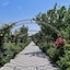 Cross Resort Yerevan