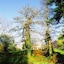 Wimbledon Holiday Lets