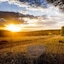 Spirit Of The Masai Mara