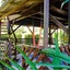 Playa Grande Lodge