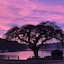 Piwaka Lodge And Backpackers