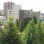 Hotel Green With