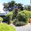 Rhyll Haven Luxury Apartments And B&B