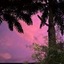 Magnetic Island Bed and Breakfast