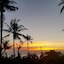 The Plantation Koh Tao
