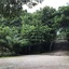 Mek Kiri River Kwai Resort