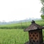 Villa Jj And Spa Ubud