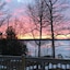 Maple Grove Cottages