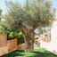 Villa Blue Coast Lagonissi
