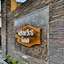 Clarks Inn Srinagar