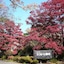 Hotel Laforet Nasu