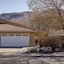 Cottonwoods 419