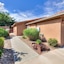Cottonwoods 401