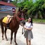 Imelda Hotel - Waterpark - Convention