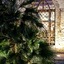 Masseria Mazzei Le Colline Del Gelso