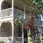 Fallen Tree Farm Bed & Breakfast