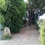 B&B Il Vigneto