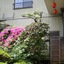 Uetoh Ryokan