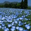 Hoshino Resorts Kai Aso