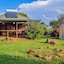 Stone Hill