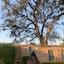 The Tree Of Life Resort & Spa, Varanasi
