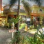 P&M Final Option Beach Resort