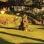 Villa Calas