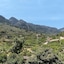 Villa Cas Decu