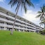 Frangipani 104