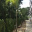Bangkok Boutique Resort Rangsit