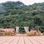 Hoi Lake Farmstay