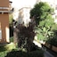 Villa Matissa