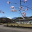 Nikko Toshogu Koyoen