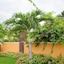 Centrally Located Guest Apartments
