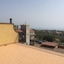 Gli Ulivi Dell'etna