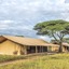 Gnu Ndutu Camp