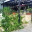 Mdiq Chalets